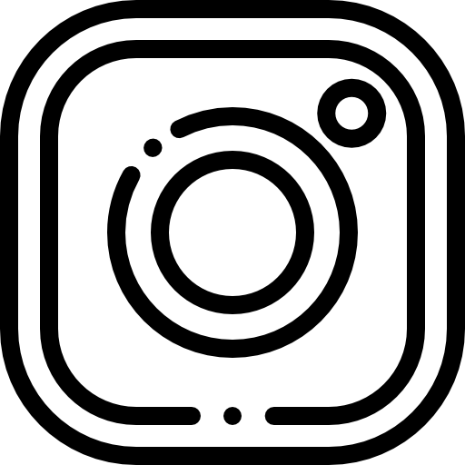 instagramLogo